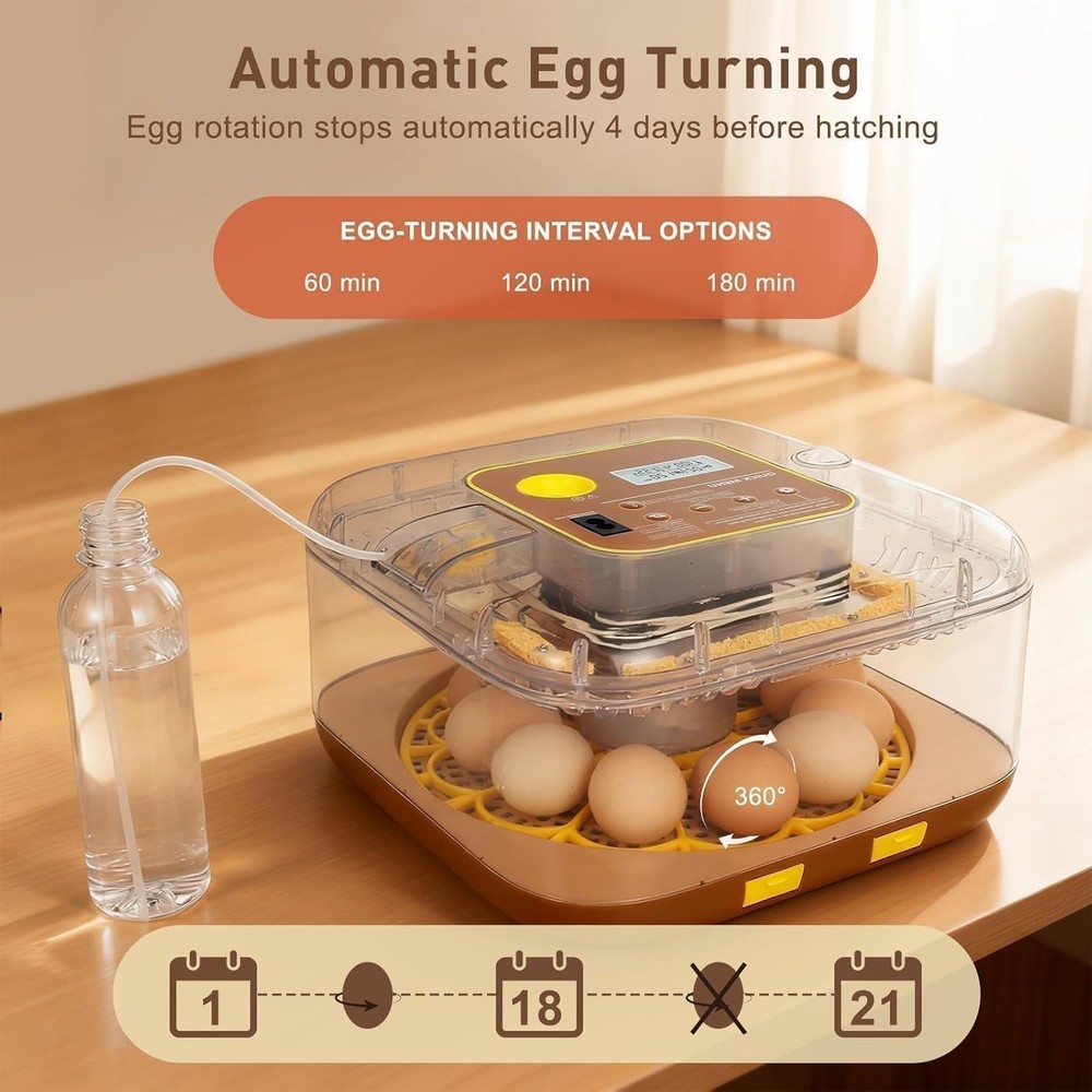 Series IV - 12-Egg Fully Automatic Incubator, Low Maintenance, Sensor-Based P...