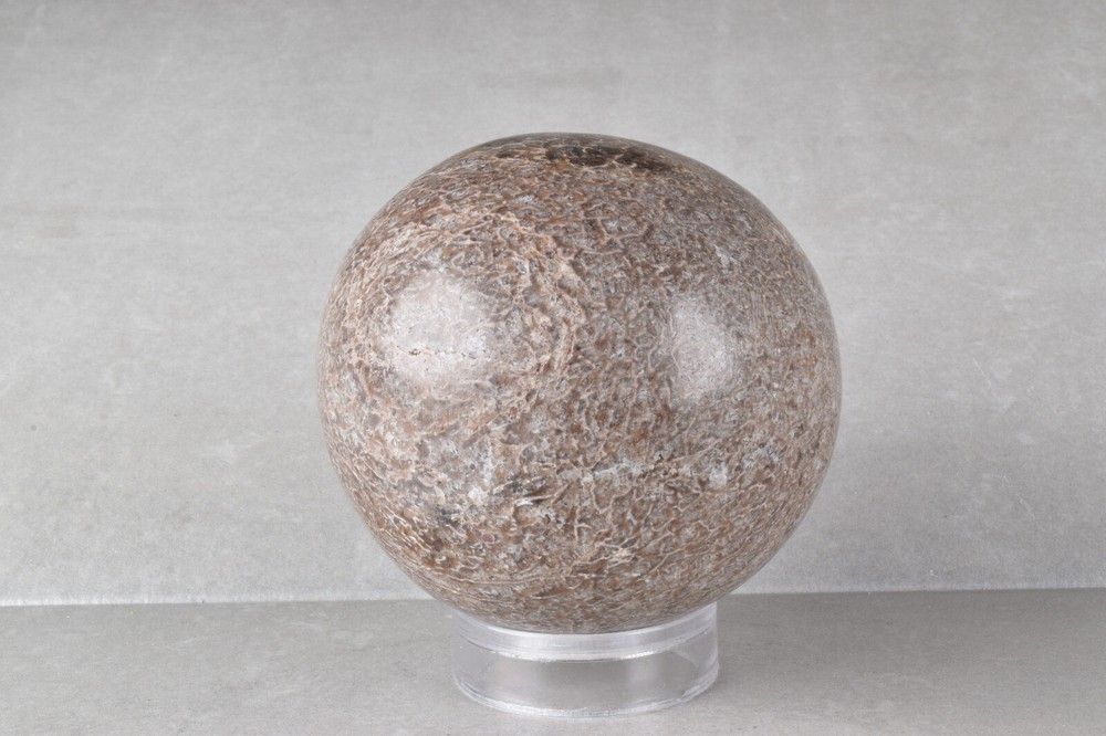 Large Dinosaur Bone Sphere from Morocco 7.7 cm # 21479