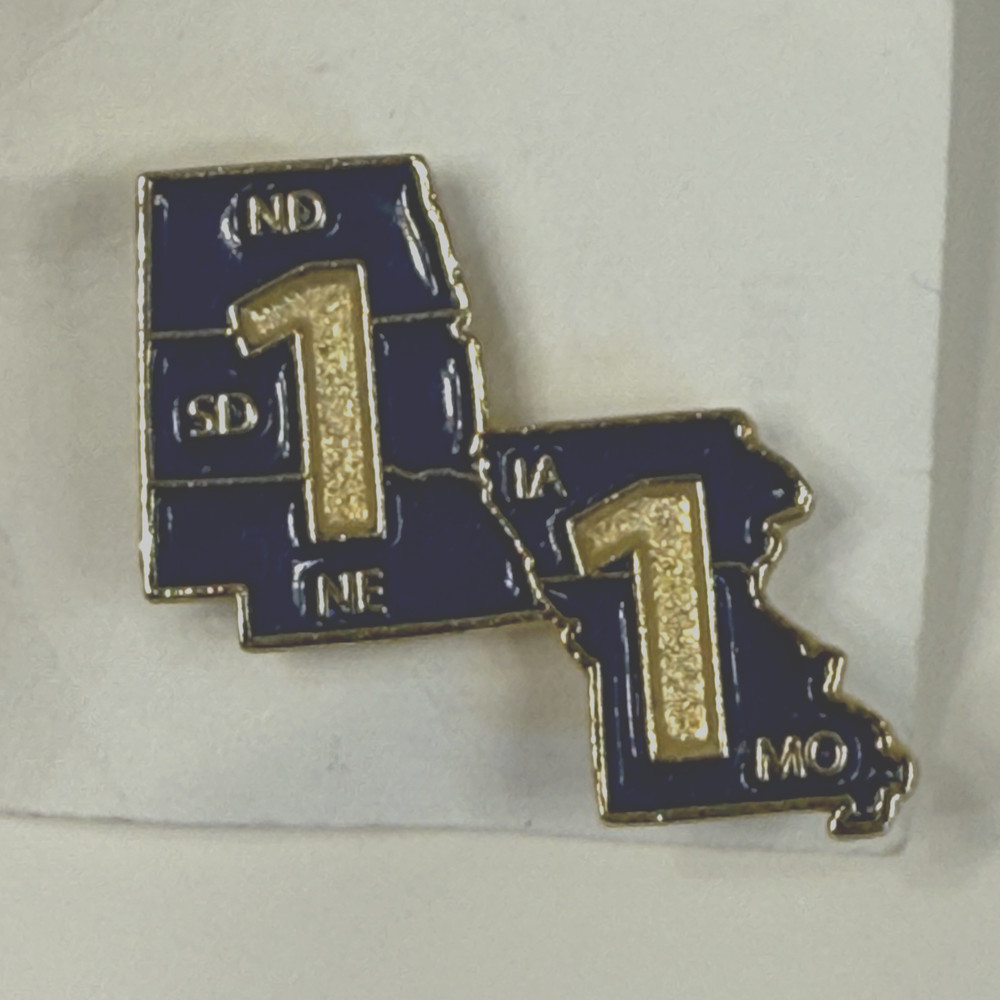 IBEW District 11 Lapel pin
