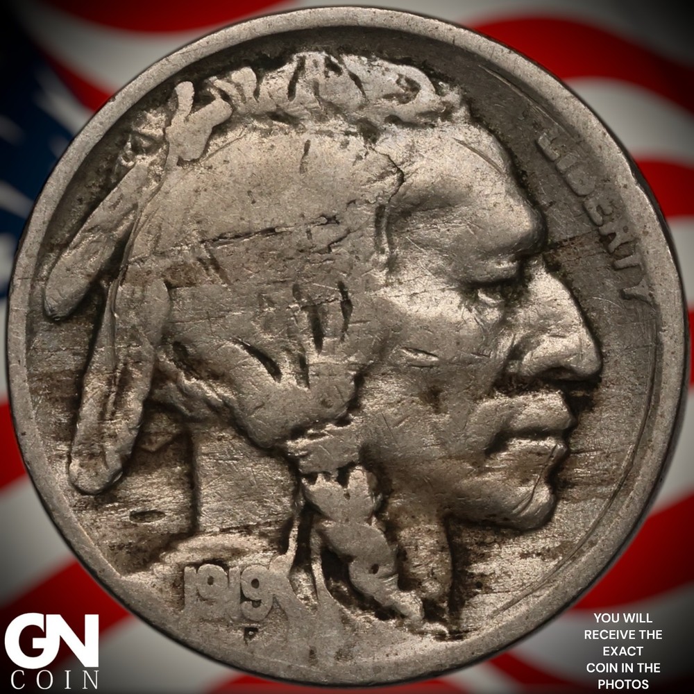 1919 D Buffalo Nickel A3394