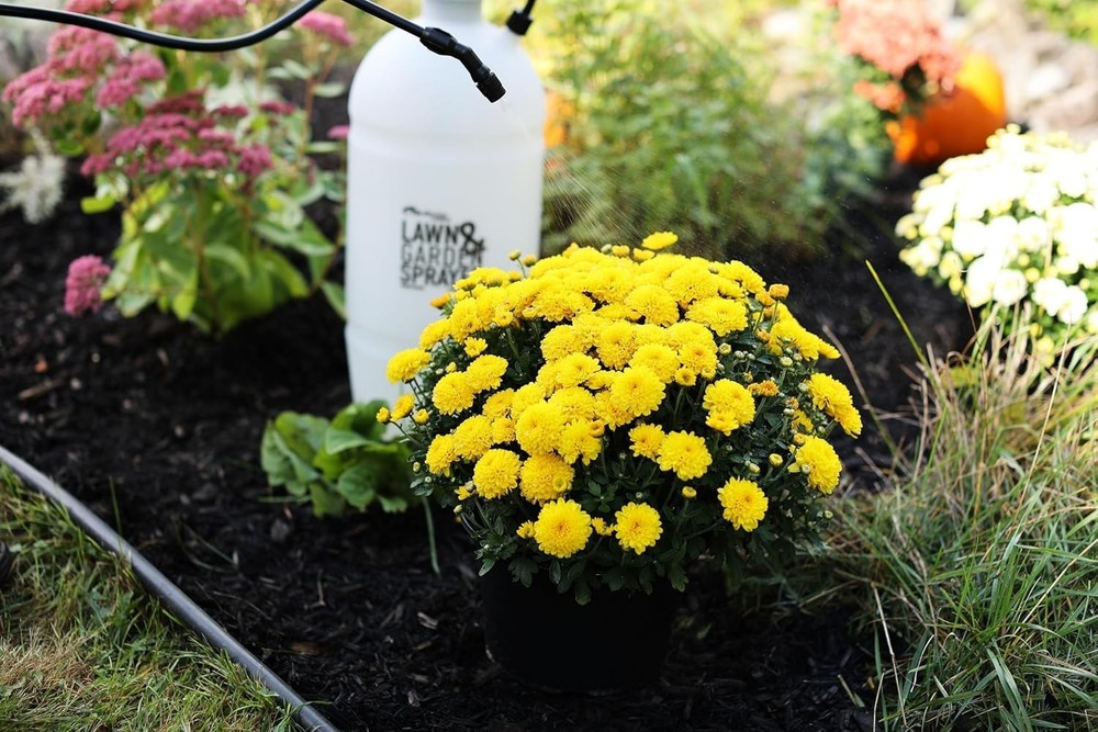 2 Gallon Lawn & Garden Sprayer
