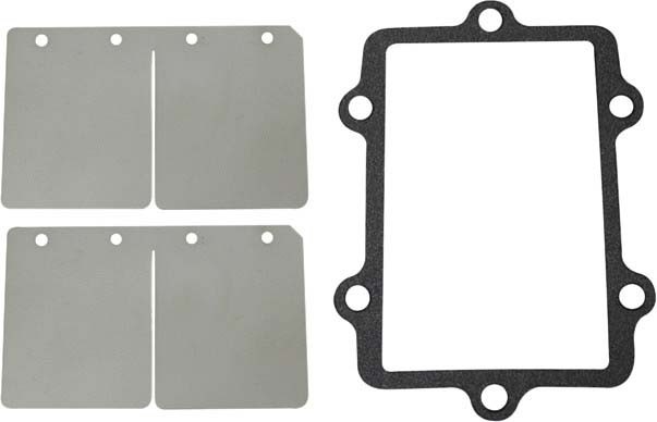 SP1 Reed Valve Rebuild Kit - SM-07152C