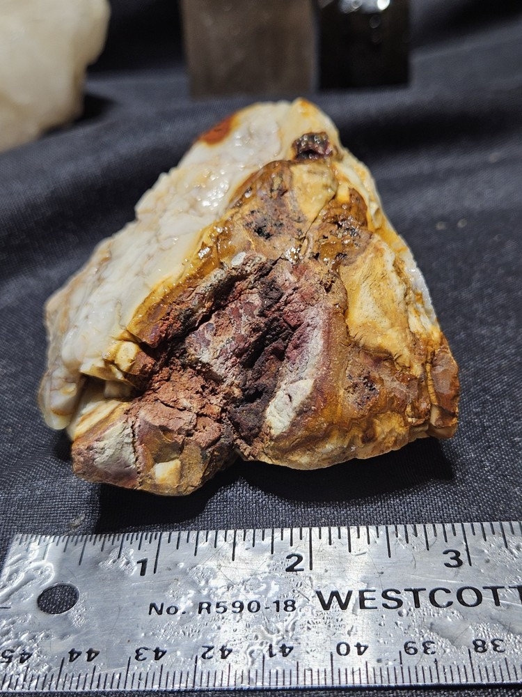 Petrified Wood Fully Opalized Natural Form (9.9oz)