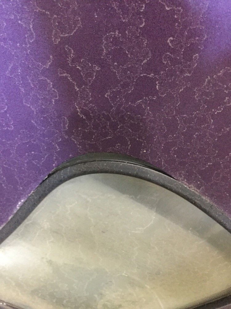 FREIGHTLINER CENTURY CLASS Door Assembly Tag# 1039979