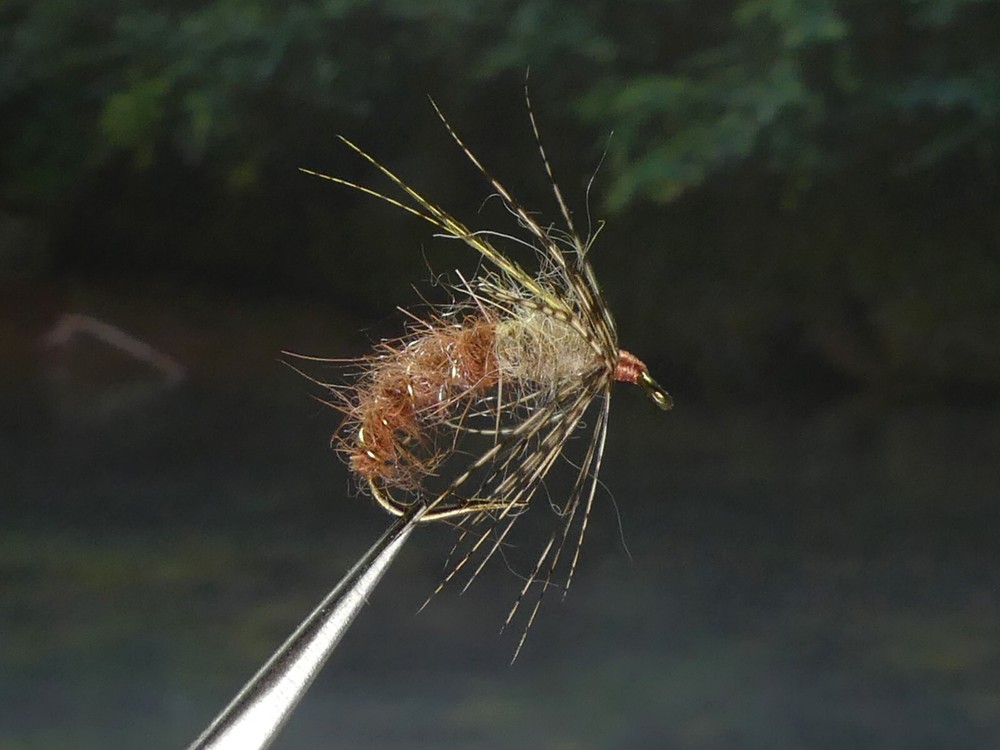 6 Flies - Hydropsyche Spotted Sedge Contrast Larvae