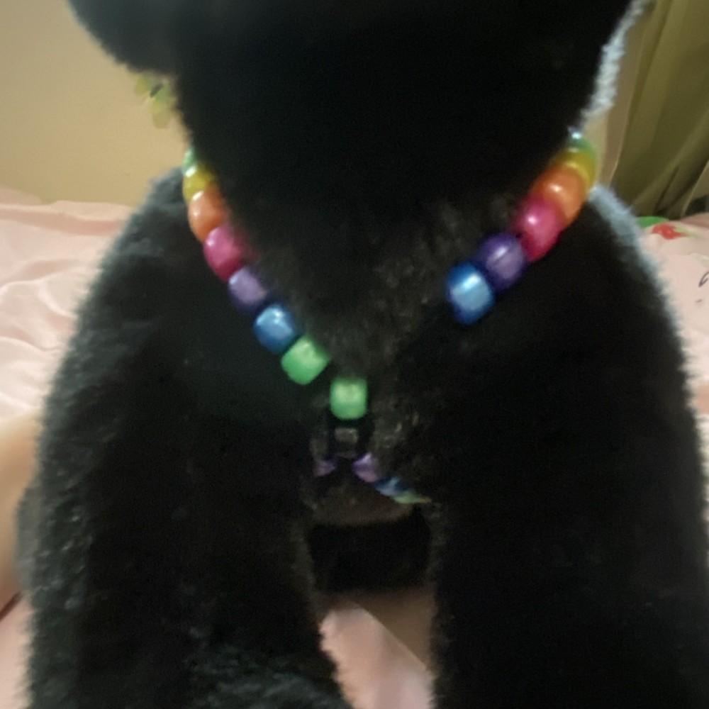 Handmade Rainbow Essa Kandi star harness!