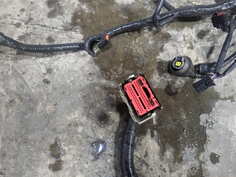 2009 Ford Escape 2.5L Hybrid Engine Wire Harness