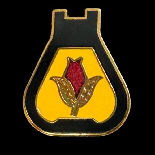 U.S. Army 24th Cavalry Pin (P23-2) National Guard