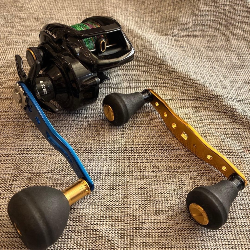 Oceanfield BG Bait Reel AbuGarcia