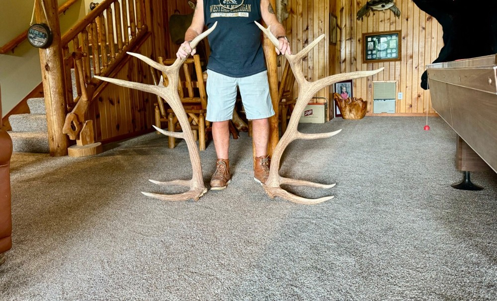 Elk sheads 370" 7x7 have score sheet