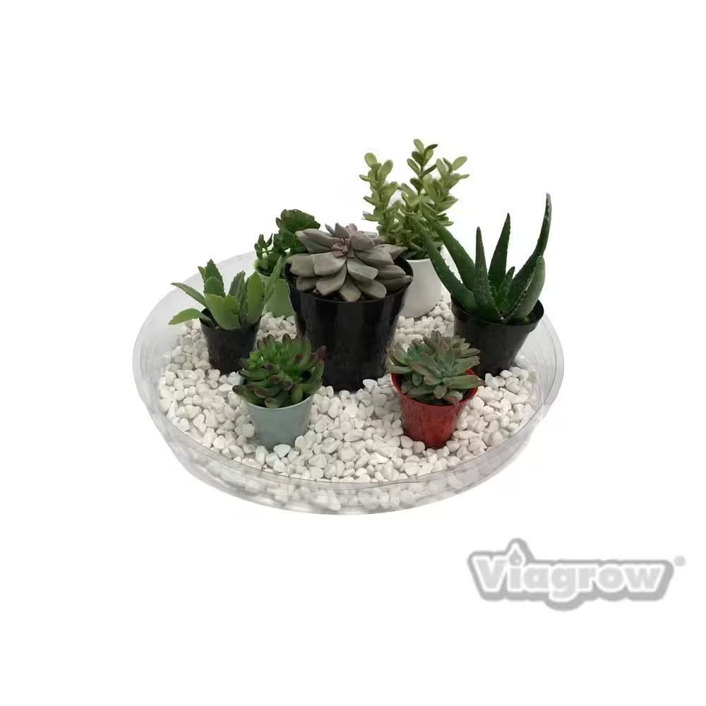 17.5 In. Clear Plastic Saucer (5-Pack)