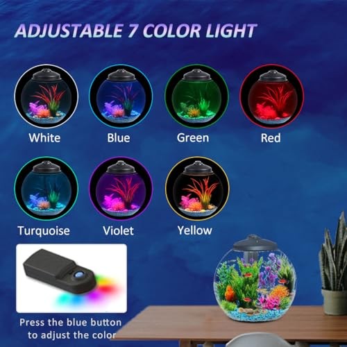 3-Gallon Fish Tank, Aquarium Starter Kit Includes Power Filter, LED Light with