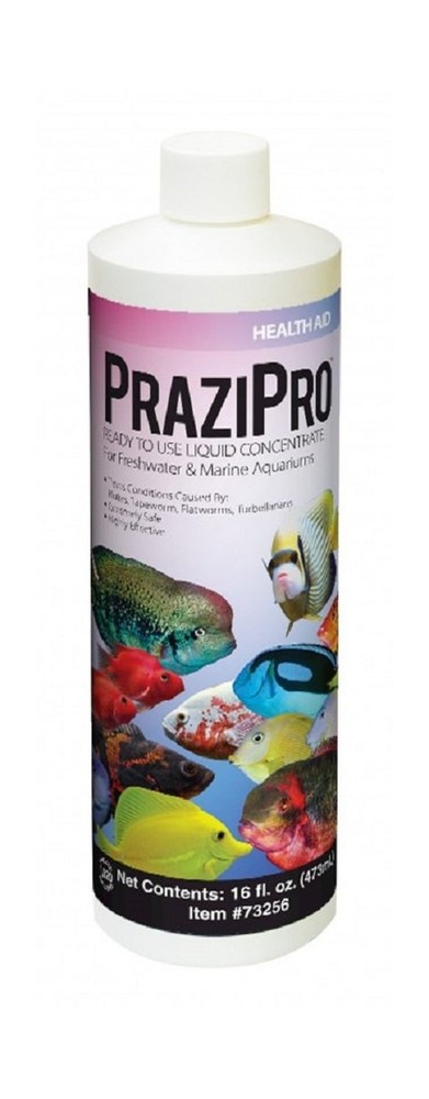 Hikari Prazipro 16oz