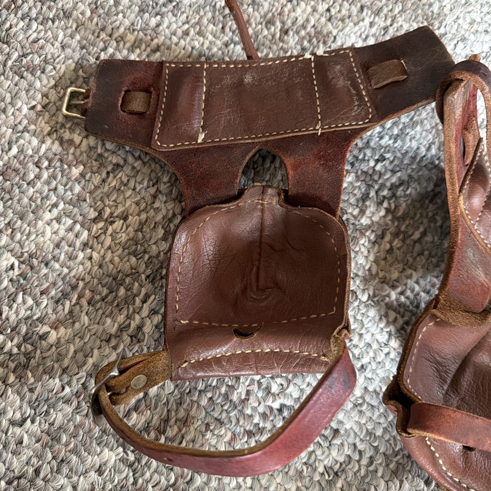Leather Hind Skid Boots