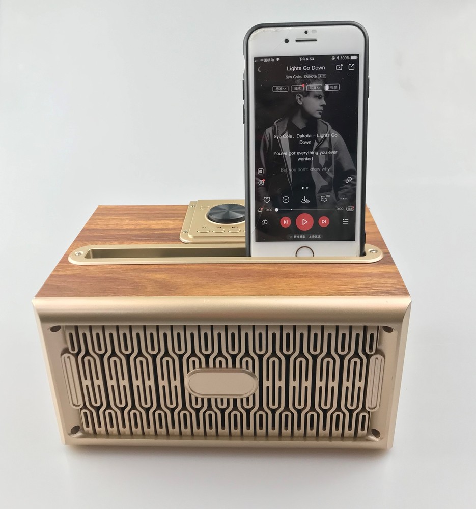Mini Retro Design Bluetooth Speaker & FM Radio W06