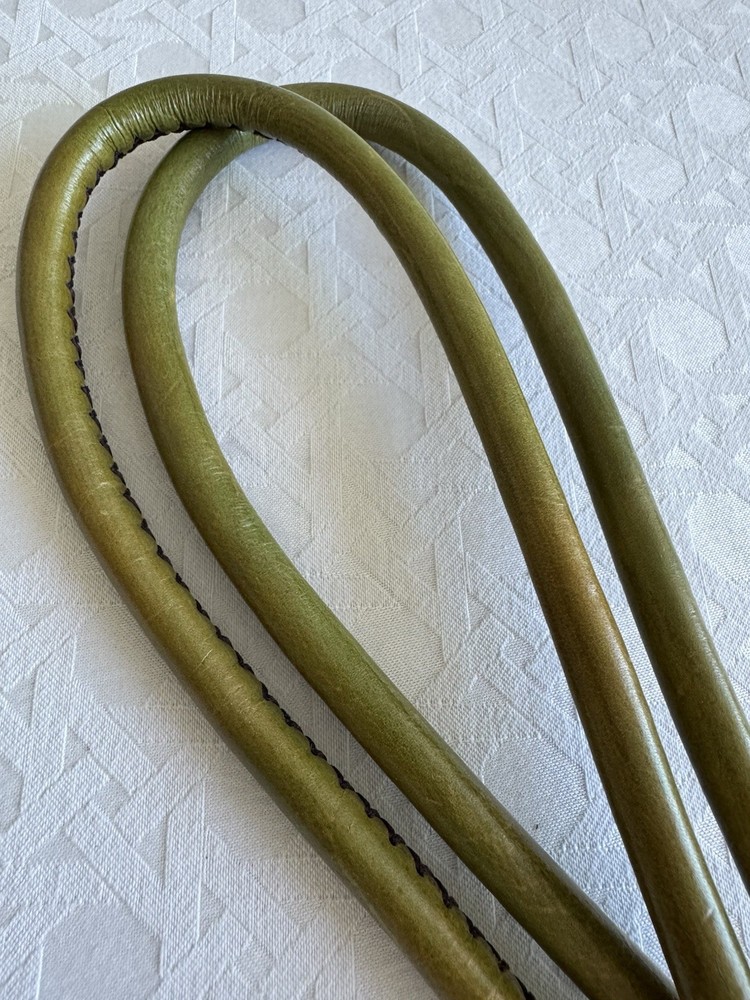 Grayson E Rolled Leather Purse Handles Large Green NEW