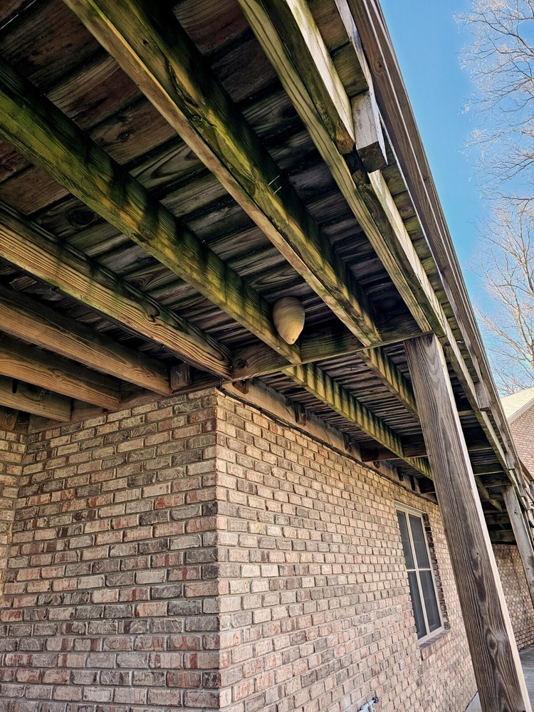 Wilbur’s Finest Decoy Wasp Hornet Nest