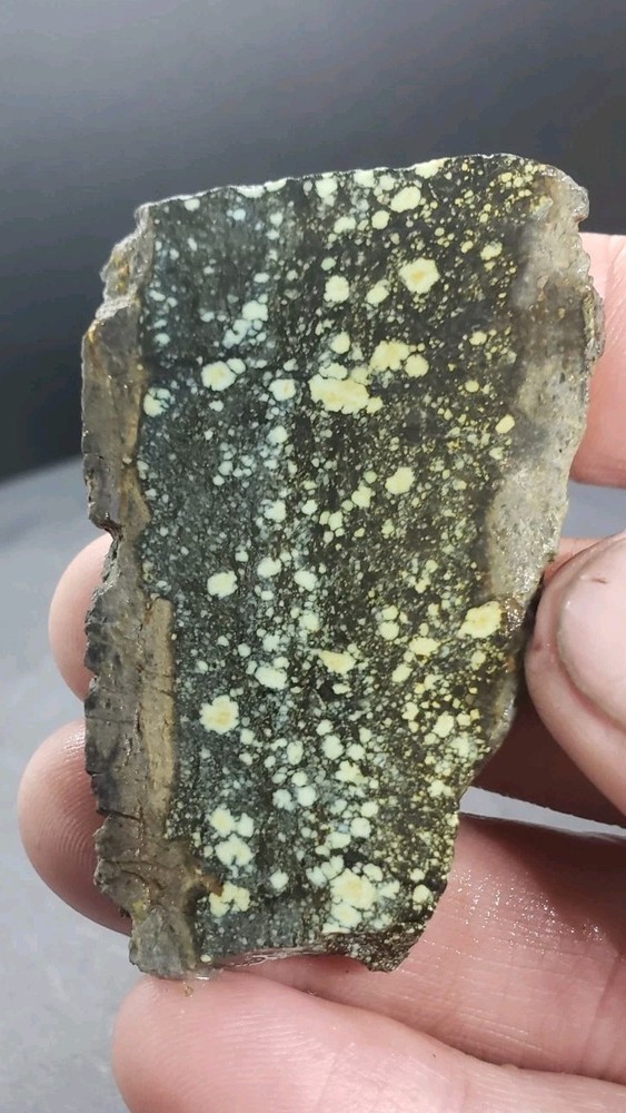 Nevada Saguaro Variscite Slab