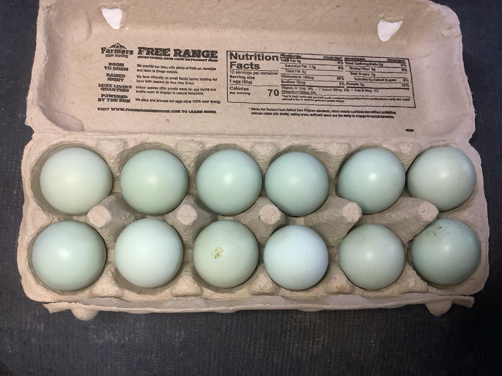 12+ Isabel AMERAUCANA PUREBRED Eggs