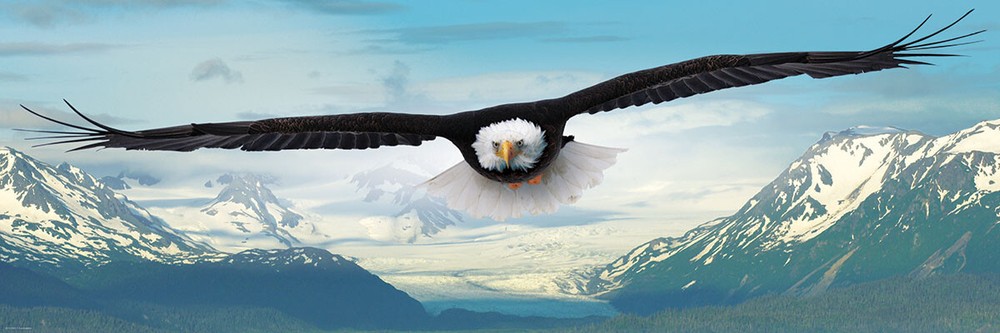 Eurographics Eagle 1000 Piece Jigsaw Puzzle