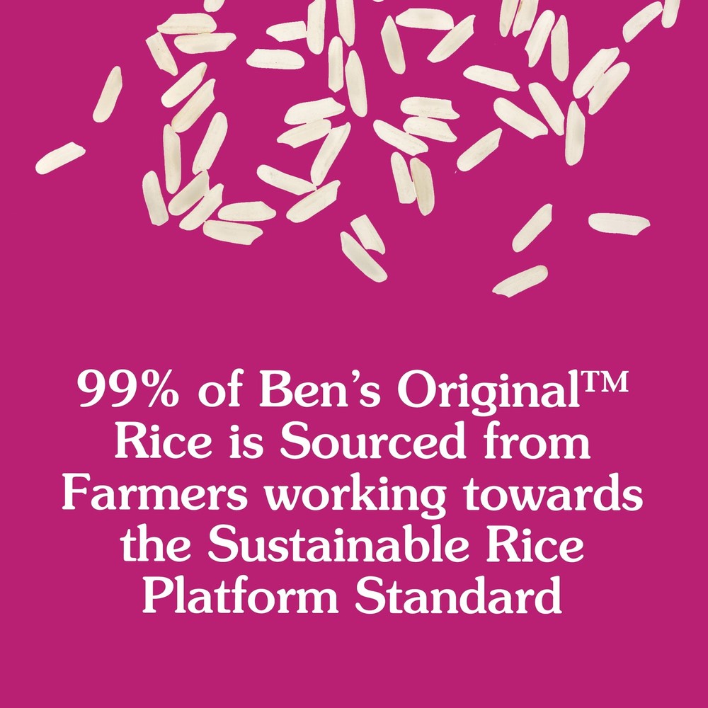 BEN'S ORIGINAL Whole Grain Brown Rice, 5 lb Bag