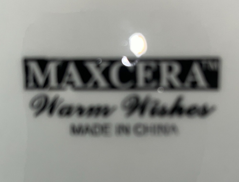 Maxcera Warm Wishes Cardinal Ceramic Serving Platter/Dish/Plate