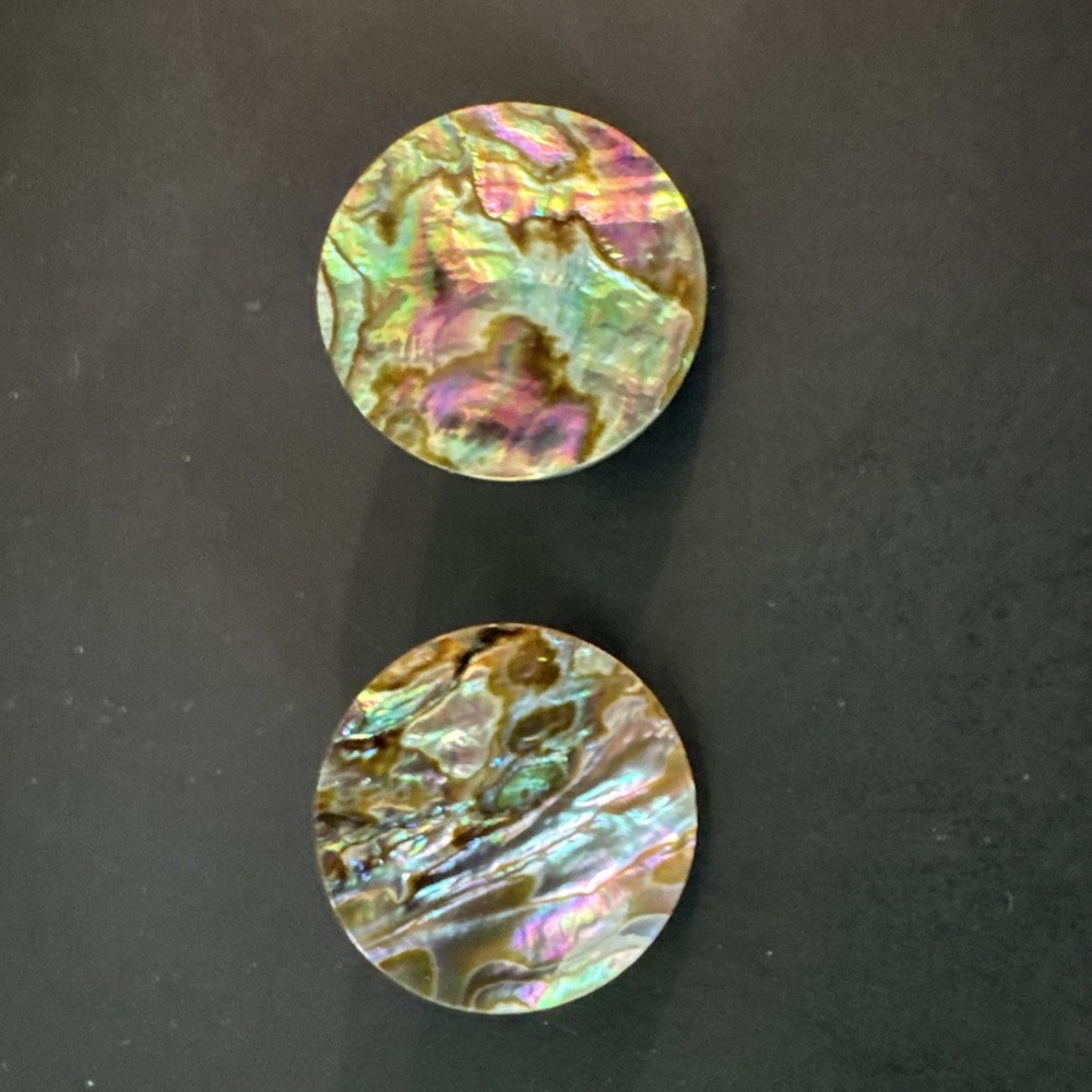Chunky Abalone Boho Round Pierced Earrings