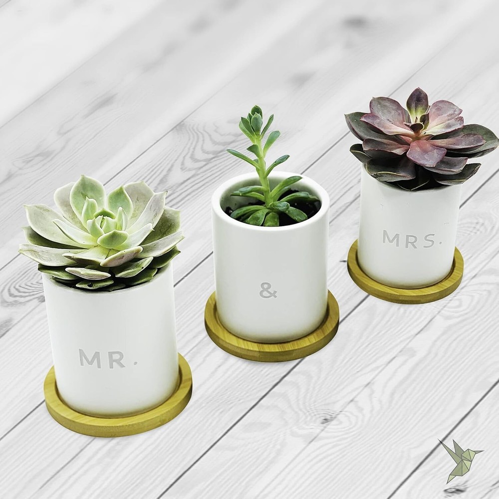 Mr and Mrs Planter Set 3pc Wedding Gift Decorative Flower Pot Set