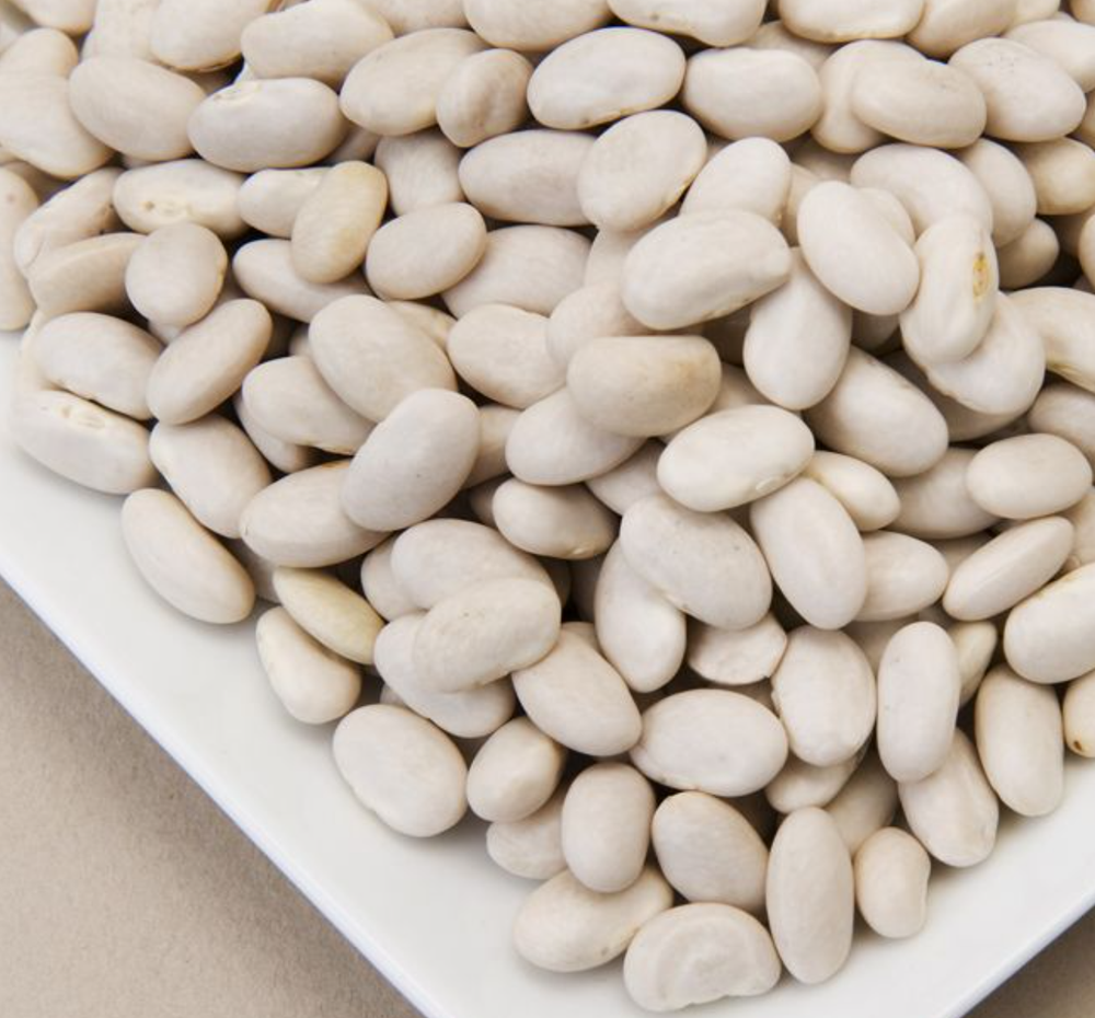 *BULK* Great Northern Beans Non-GMO, Raw, Sproutable, Fresh