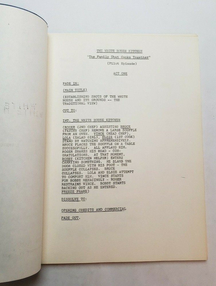 WHITE HOUSE KITCHEN / Laurence Marks 1978 Unproduced TV Script PILOT EPISODE