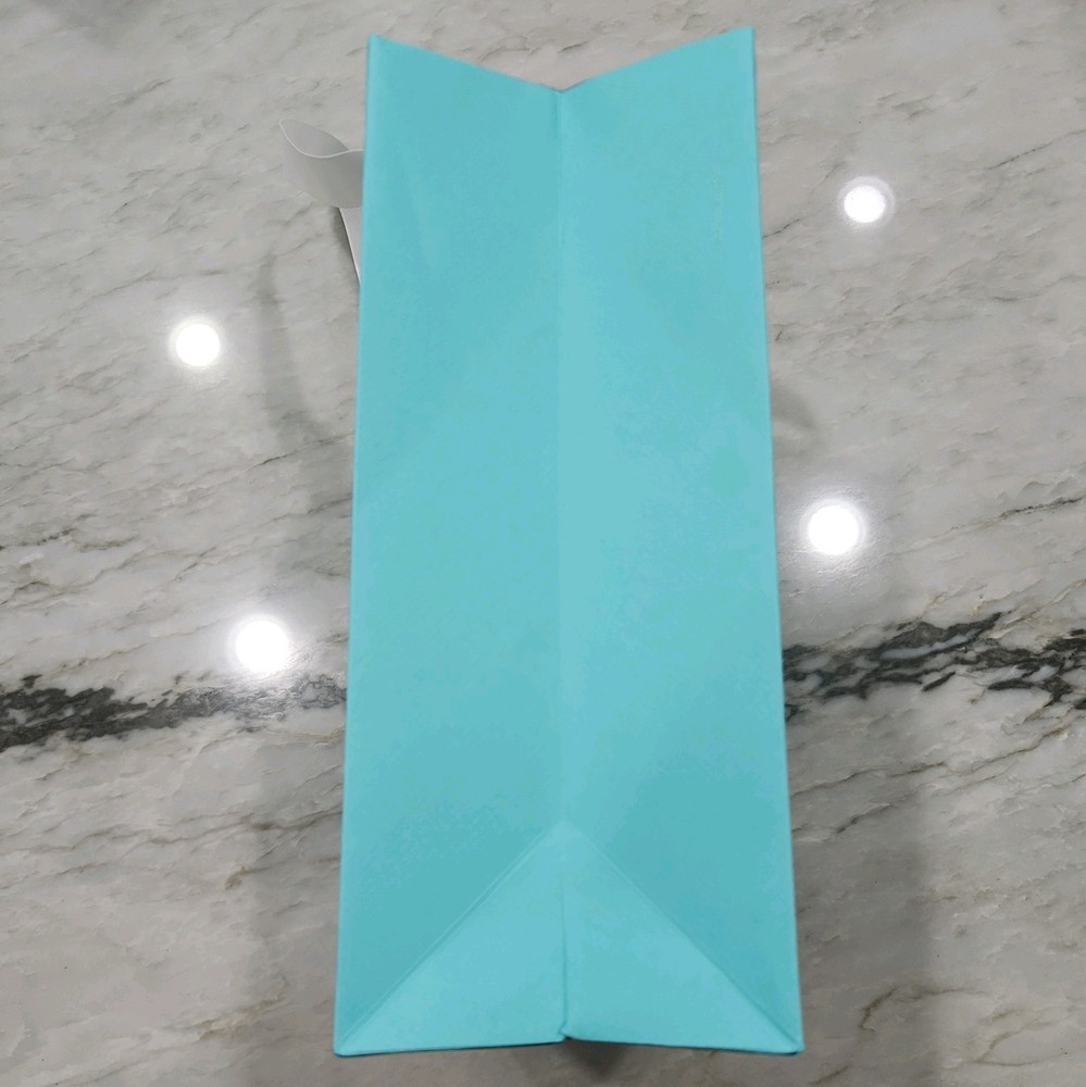 NEWEST Tiffany & Co. Shopping Bag Empty