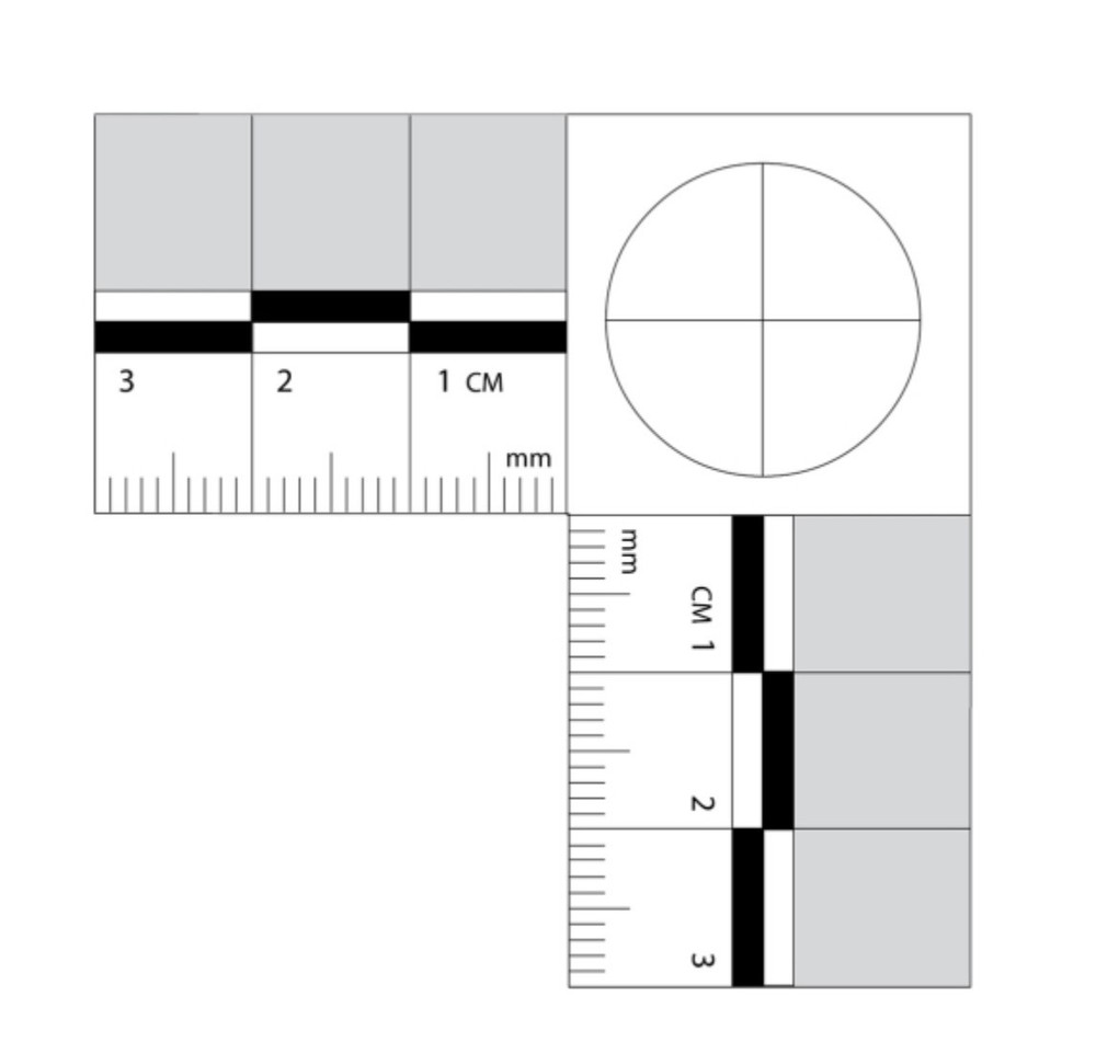 Sirchie Adhesive Back Forensic Scale 55mm x 55mm (Roll)