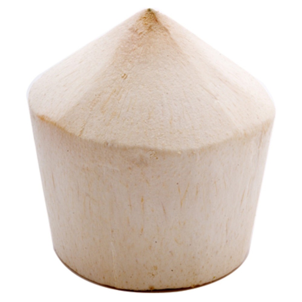 Young Coconut ( Set Of 6 )