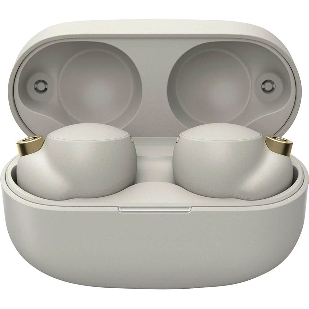 True Wireless – Noise Cancelling – Silver