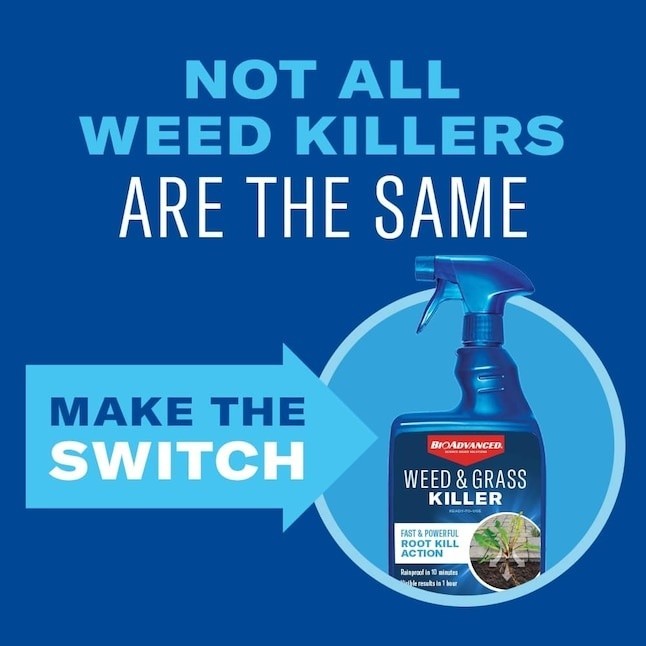 BIOADVANCED 24OZ WEED & GRASS KILLER WITH EASY TRIGGER SPRAY - KILLS AT THE ROOT