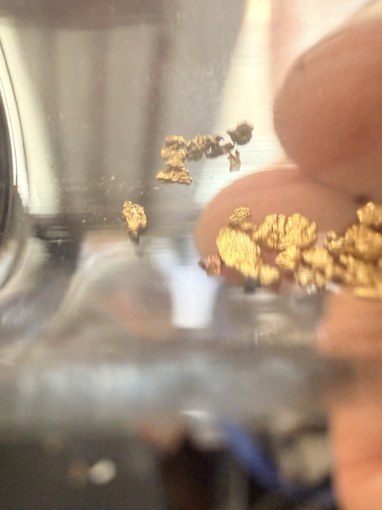 GOLD PAYDIRT 25 LB Bulk Sample Un-searched. Advanced Prospector Pack
