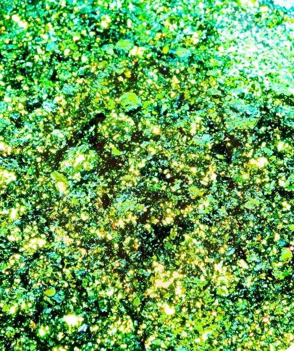 ULTRASHIFT CHAMELEON FLAKE - PISCIES