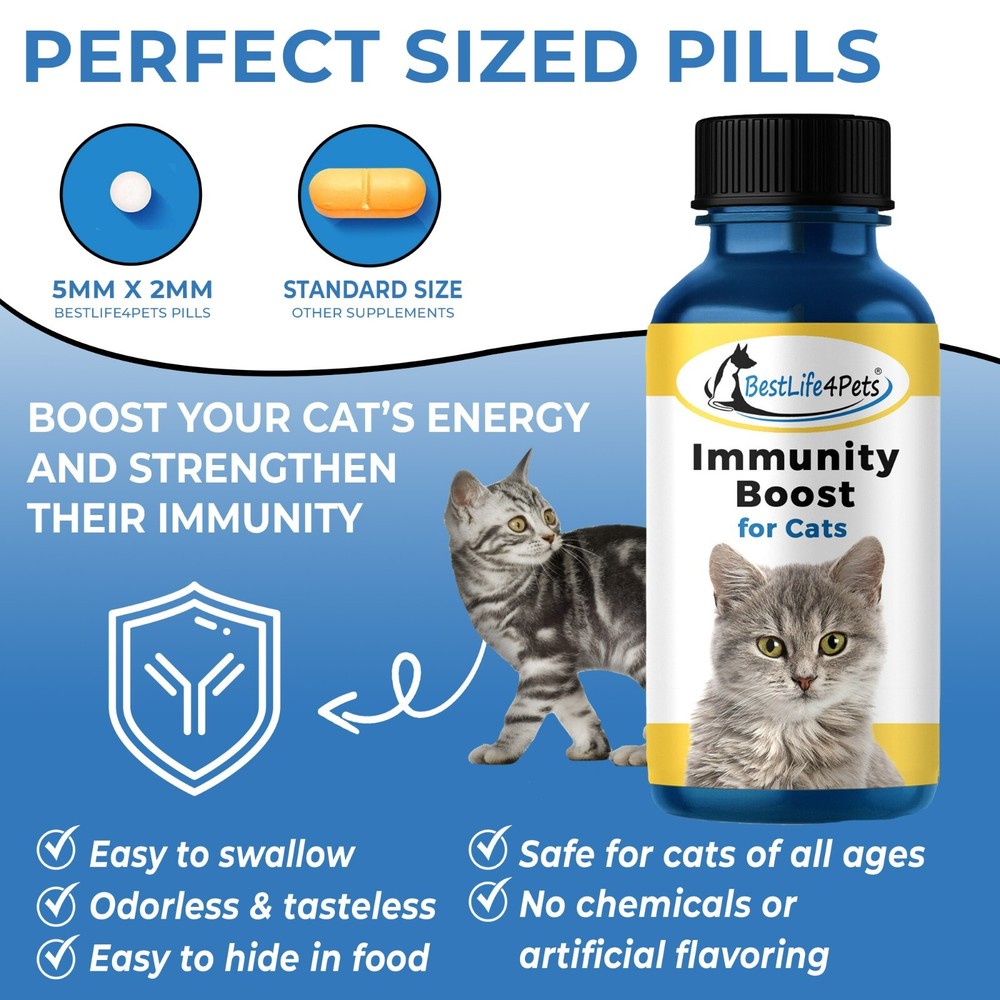 IMMUNITY BOOST FOR CATS Immune System Support Natural Supplement