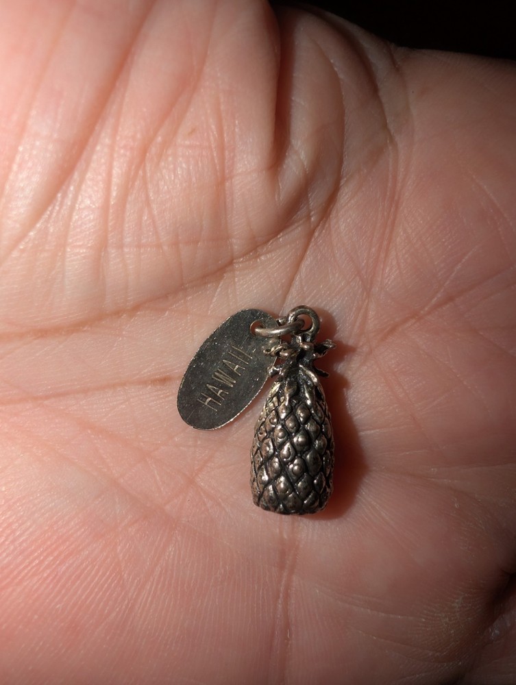 Pineapple Hawaii Charm