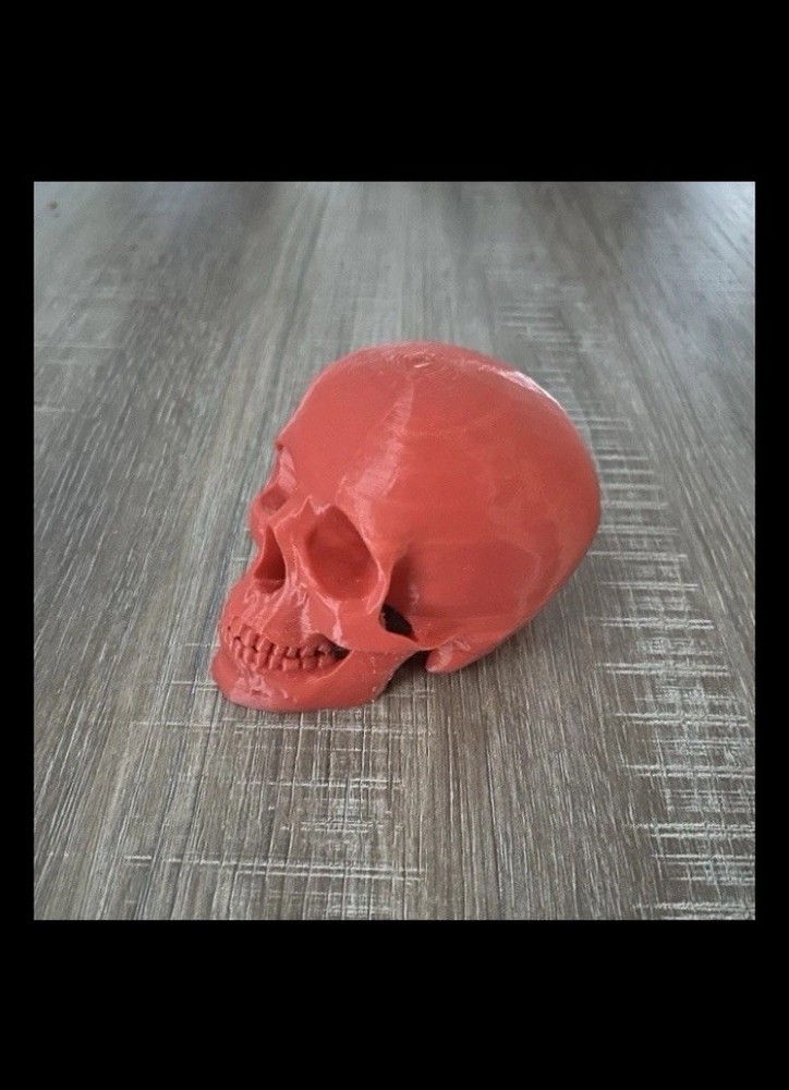 3D Printed Red Human Skull Halloween Skull