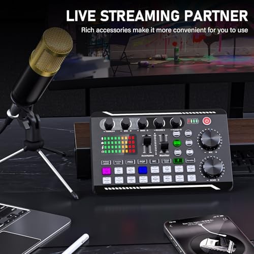 F998 Podcast Equipment Bundle, Audio Interface & BM800 Condenser Microphone