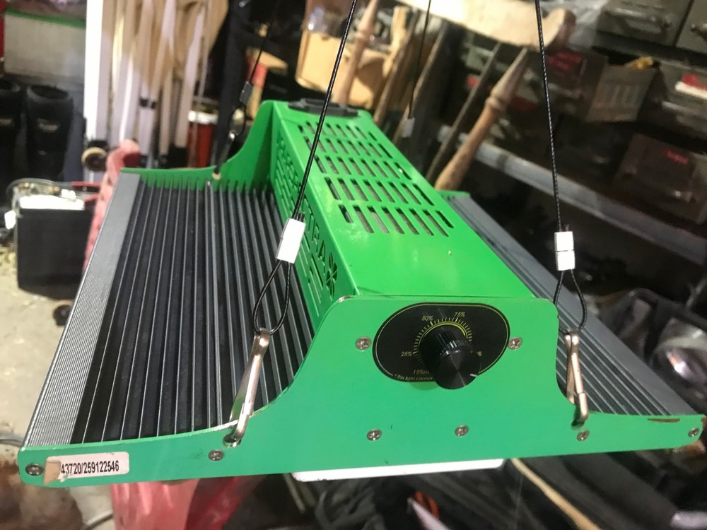 ViparSpectra P600