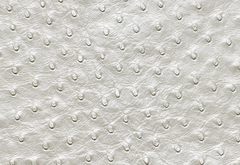 Ostrich Leather skin Pearl White