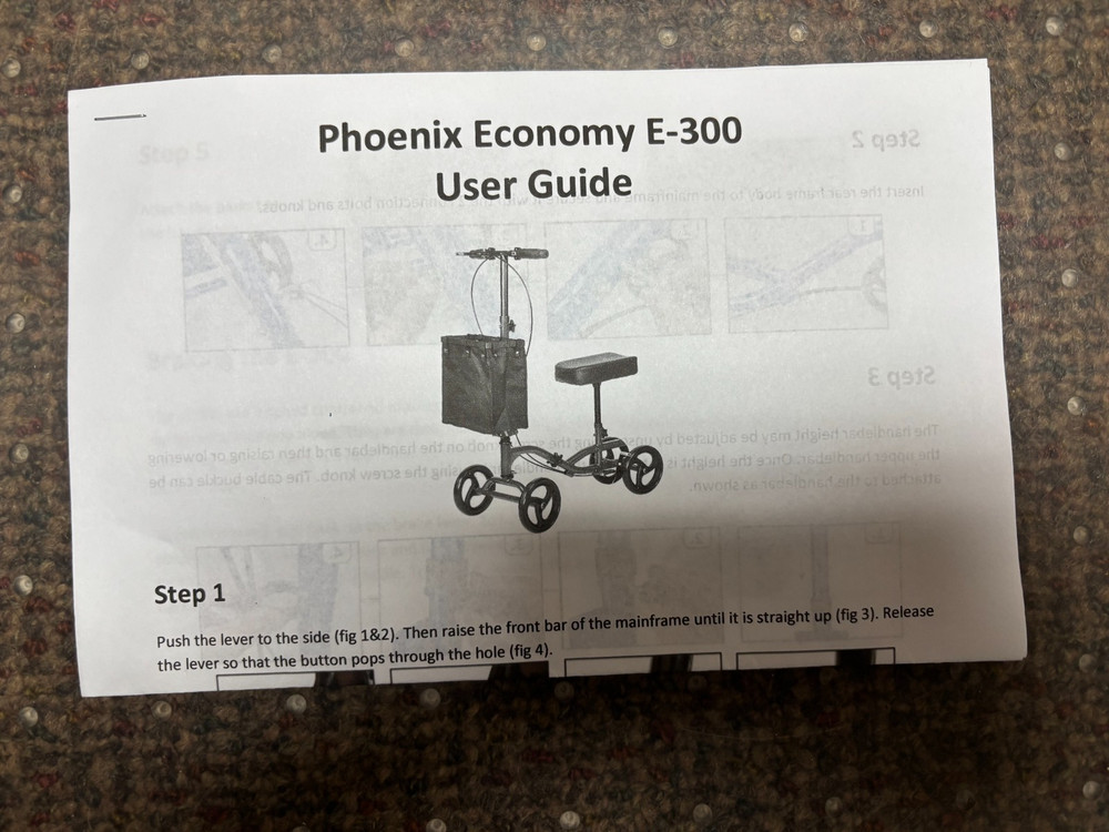 Phoenix Economy Scooter