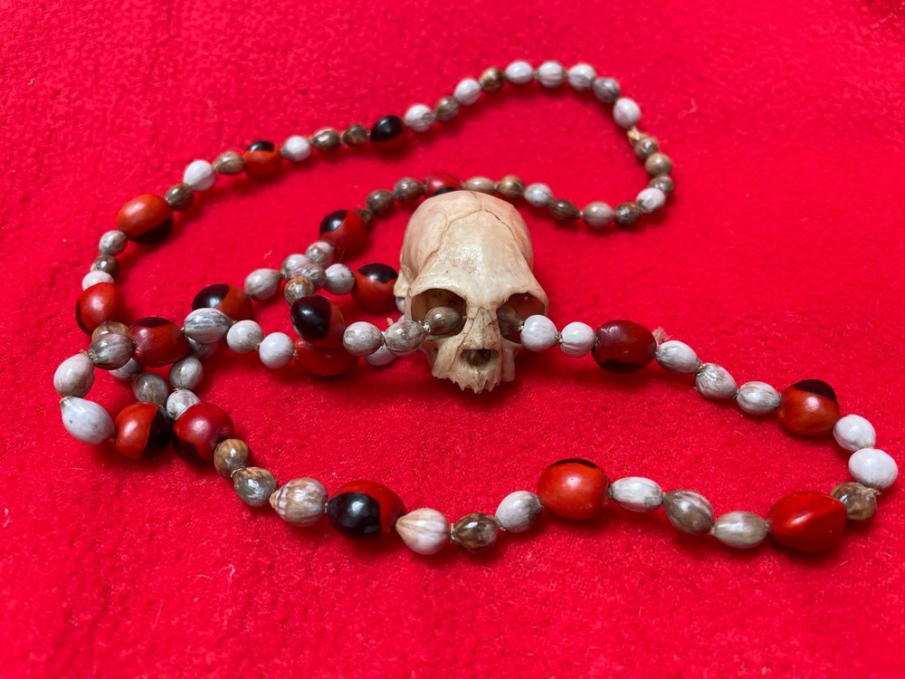 Magical Sacred Seed & Monkey Skull Shamanic Ritual Necklace