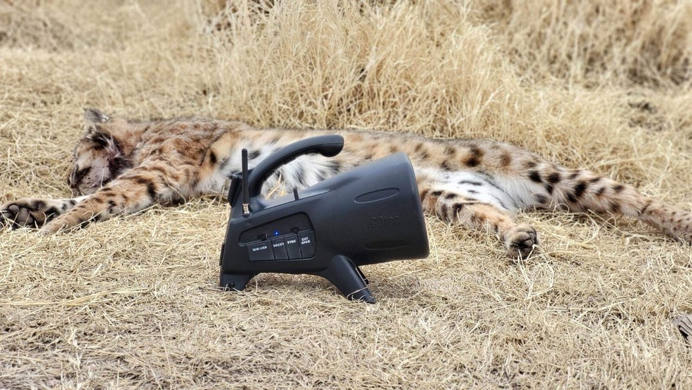 ICOtec NIGHT STALKER+ Programmable Predator Call with Bluetooth!