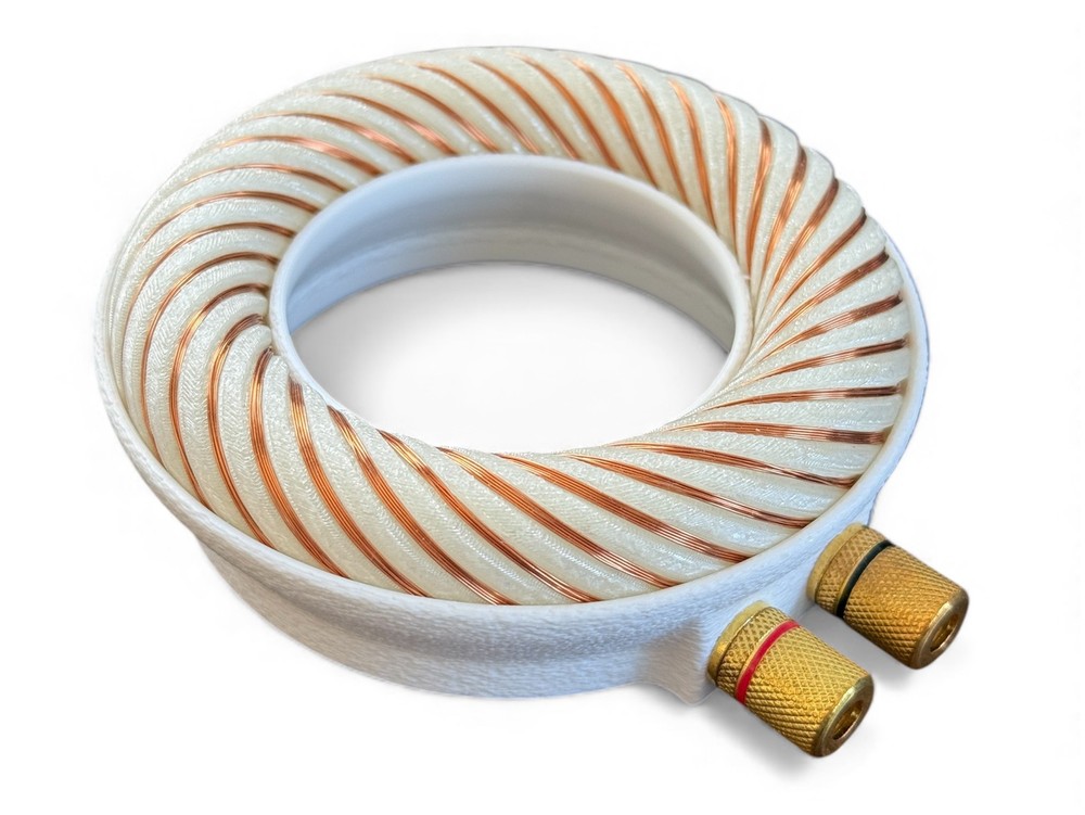 Rodin coil Scalar Wave toroidal field generator module