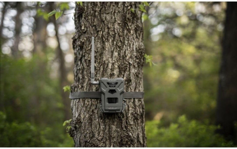 SPYPOINT Flex-M Solar Bundle - Cellular Trail Camera with Solar Panel, Best in