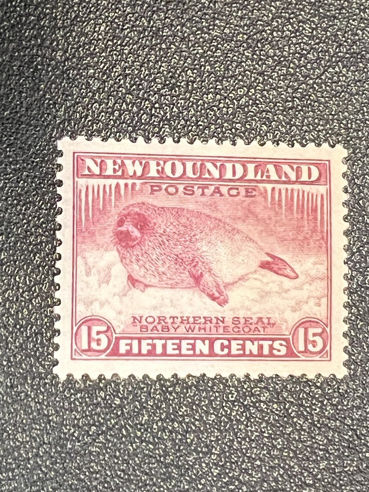 Newfoundland stamp 195 MH