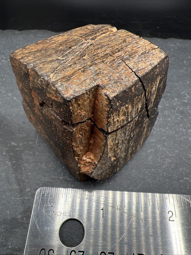 232g Petrified Wood Block Stone